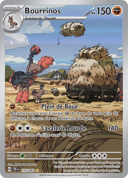 Bourrinos
