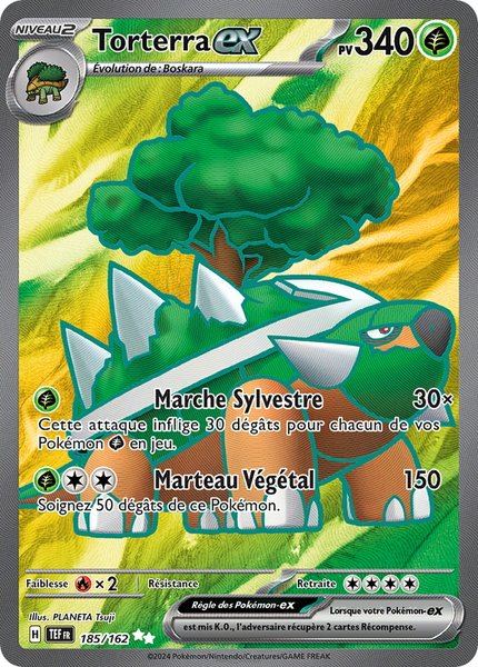 Torterra ex
