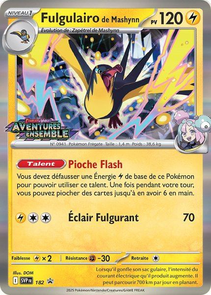 Fulgulairo de Mashynn