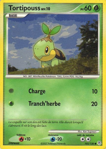 Tortipouss