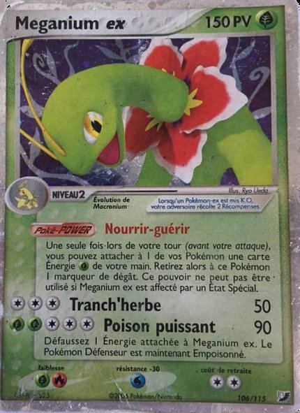 Méganium ex