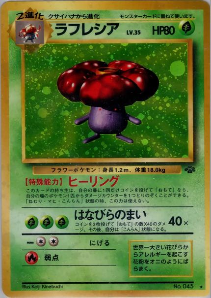 Rafflesia