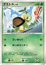 Tortipouss