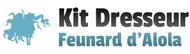 SL Kit du Dresseur (Feunard d'Alola)