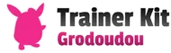XY Trainer Kit (Grodoudou)